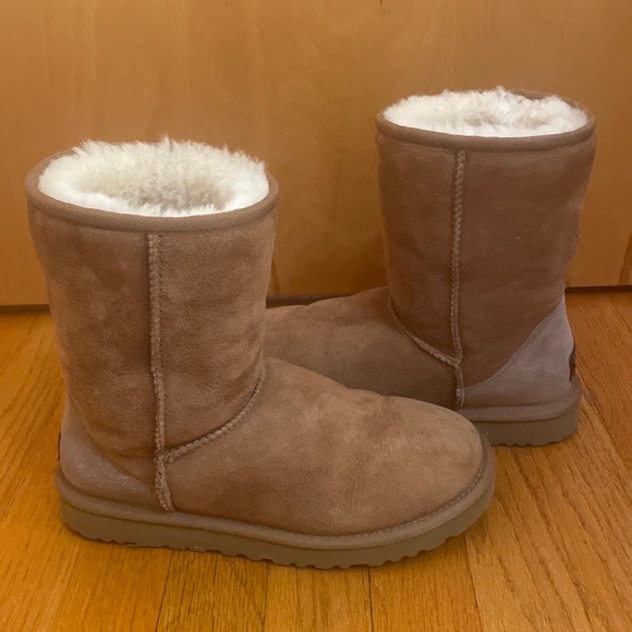 UGG Shoes - UGG Australia Classic Short Boots Chesnut Sheepskin Size 7 EUC
